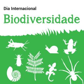 Dia Internacional da Biodiversidade - 2017