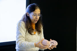 ECV - Encontro com o cientista - Ana Sebastião