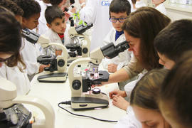 ECV - Encontro com o cientista - Rita Abranches
