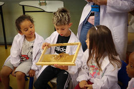 ECV - Encontro com o cientista - Joana Godinho e Anabela Nave