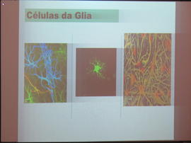 ECV - Encontro com a cientista -  Maria José Diógenes