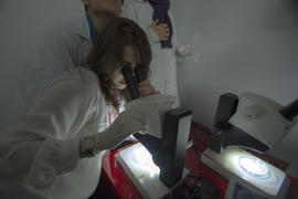 ECV - Encontro com o cientista  - Maria Inês Vicente  e Catarina Ramos