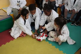 ECV - Encontro com o cientista - Isabel Ribeiro