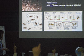 ECV - Encontro com a cientista - Luisa Figueiredo