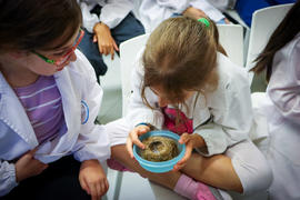 ECV - Encontro com o cientista - Ana Leal