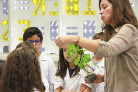 ECV - Encontro com o cientista - Rita Abranches