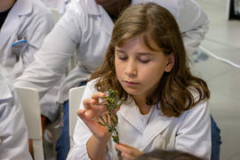 ECV - Encontro com o cientista - Fernanda Delgado