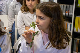 ECV - Encontro com o cientista - Fernanda Delgado