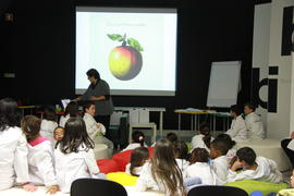 ECV - Encontro com a cientista - Olga Pombo