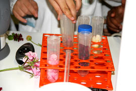 ECV - Encontro com o cientista - Nelson Saibo