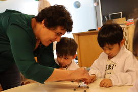 ECV - Encontro com o cientista - Paula Rodrigues
