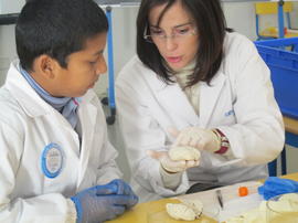 ECV - Encontro com a cientista -  Maria José Diógenes