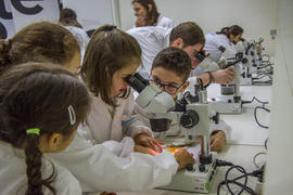 ECV - Encontro com a cientista - Joana Vieira