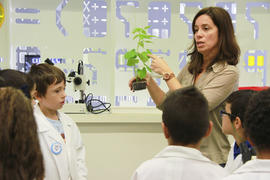 ECV - Encontro com o cientista - Rita Abranches