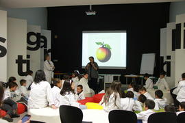 ECV - Encontro com a cientista - Olga Pombo