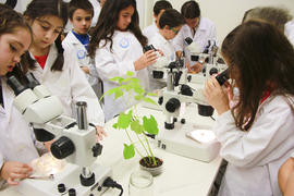 ECV - Encontro com o cientista - Rita Abranches