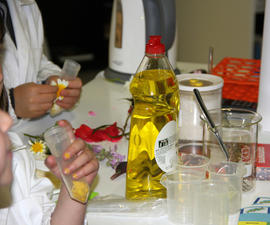 ECV - Encontro com o cientista - Nelson Saibo