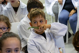 ECV - Encontro com o cientista - Fernanda Delgado