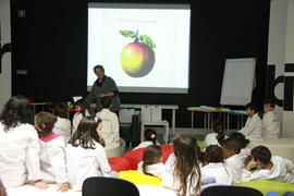 ECV - Encontro com a cientista - Olga Pombo