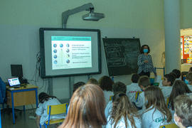 ECV - Encontro com a cientista - Karina Xavier