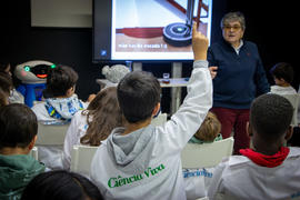 ECV - Encontro com o cientista - Isabel Ribeiro