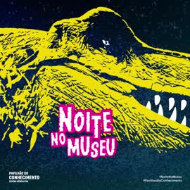 Noite no Museu