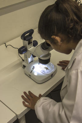 ECV - Encontro com a cientista - Adriana Galveias