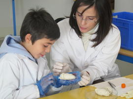 ECV - Encontro com a cientista -  Maria José Diógenes