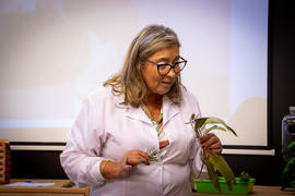 ECV - Encontro com o cientista - Fernanda Delgado