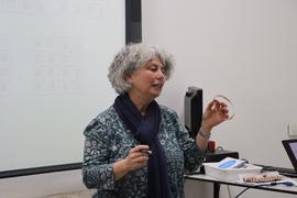 ECV - Encontro com o cientista - Maria Manuel Torres