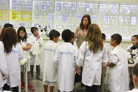 ECV - Encontro com o cientista - Rita Abranches