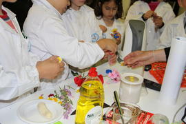 ECV - Encontro com o cientista - Nelson Saibo