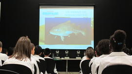 ECV - Encontro com o cientista - Sílvia Lourenço