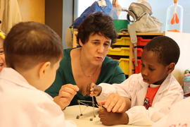 ECV - Encontro com o cientista - Paula Rodrigues