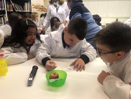 ECV - Encontro com o cientista - Mariana Mota